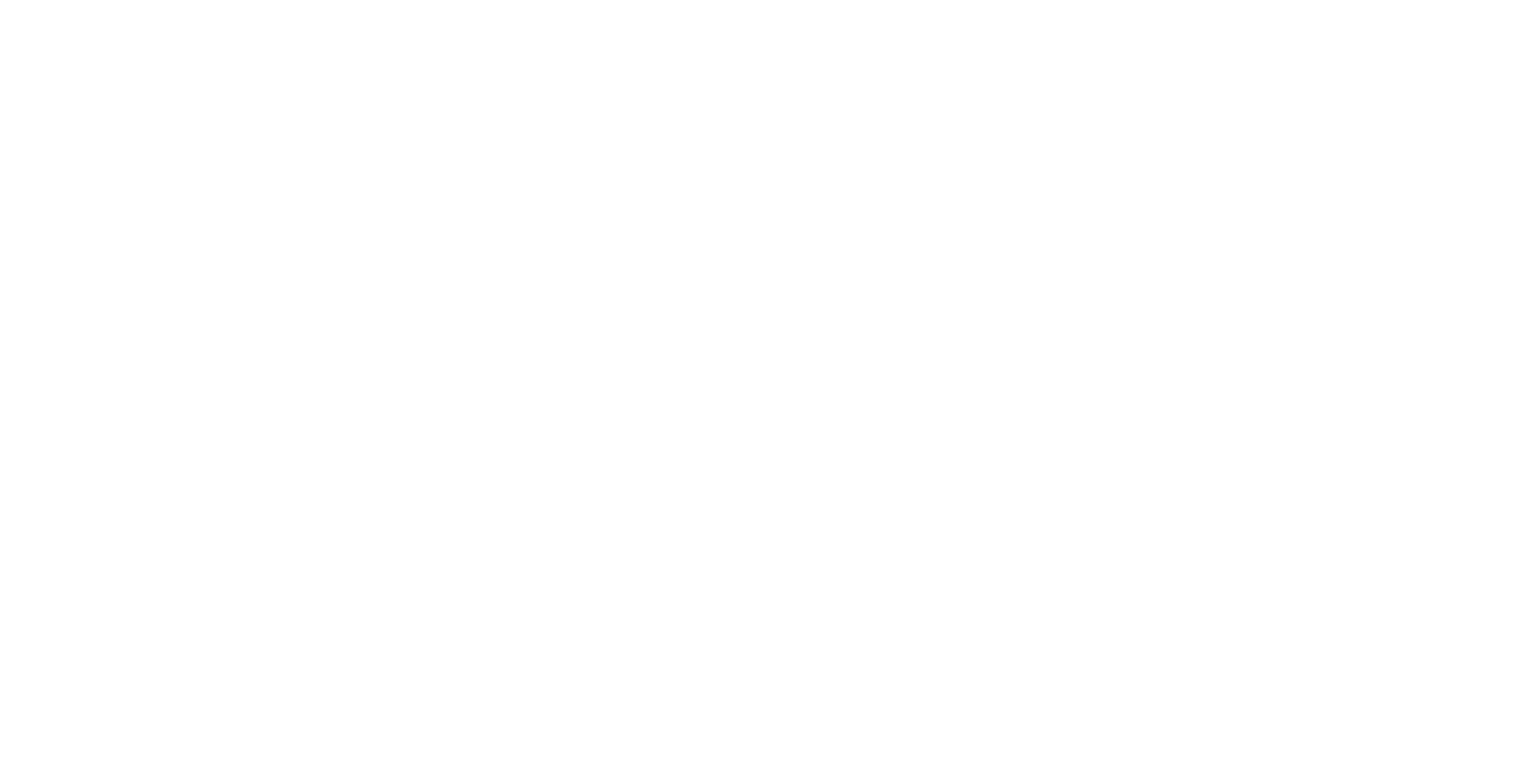 Logo_HW Brasil EcoFire_Branco